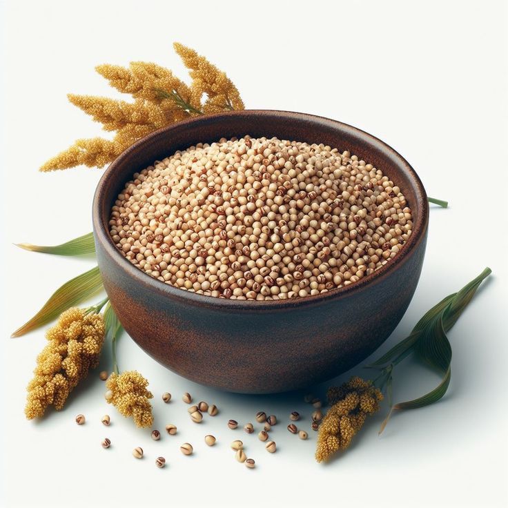 Sorghum grain