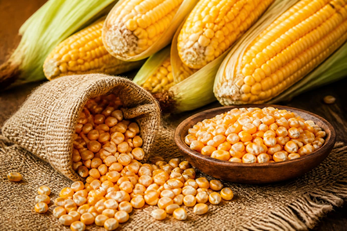 Maize cobs