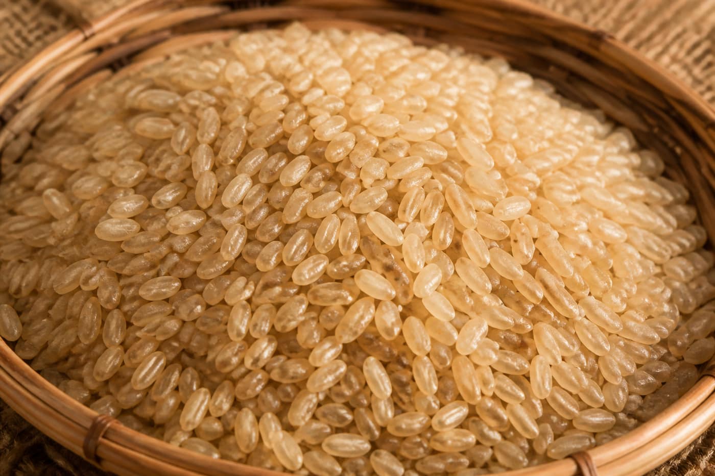 Rice grain close-up